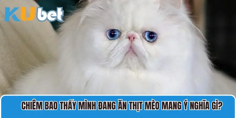 Chiêm bao thấy mình đang ăn thịt mèo mang ý nghĩa gì?