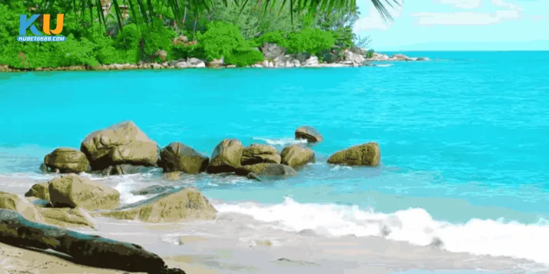 Giải thích chi tiết các kiểu mơ thấy biển